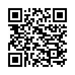 QR CODE 53