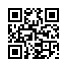 QR CODE 2538