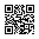 QR CODE 3054