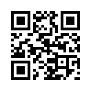 QR CODE 3133
