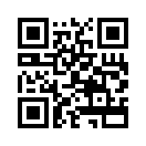 QR CODE 3174