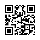 QR CODE 3338