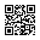 QR CODE 3343