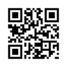 QR CODE 3346