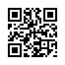 QR CODE 4206