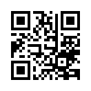 QR CODE 31