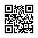 QR CODE 133