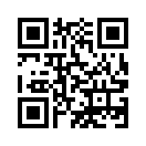 QR CODE 336