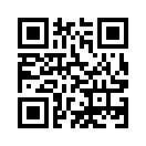 QR CODE 344
