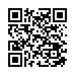 QR CODE 110