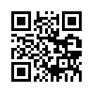 QR CODE 133