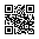 QR CODE 31