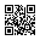 QR CODE 1007
