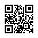 QR CODE 1029