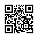 QR CODE 305