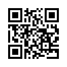 QR CODE 31