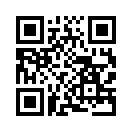 QR CODE 317
