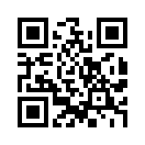 QR CODE 317