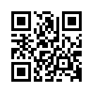 QR CODE 381