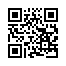 QR CODE 411