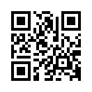 QR CODE 431