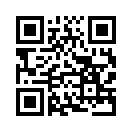 QR CODE 461