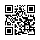 QR CODE 482