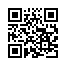 QR CODE 513