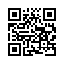 QR CODE 538