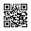 QR CODE 541