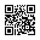 QR CODE 555