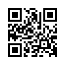 QR CODE 676