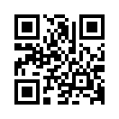 QR CODE 734