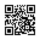 QR CODE 737