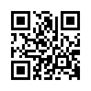 QR CODE 739