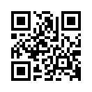 QR CODE 813