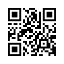 QR CODE 863