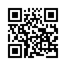 QR CODE 877