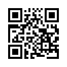 QR CODE 893