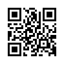 QR CODE 913