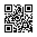 QR CODE 917