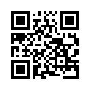 QR CODE 993