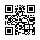 QR CODE 213