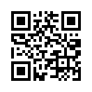 QR CODE 237