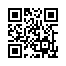 QR CODE 238