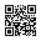 QR CODE 271