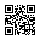 QR CODE 295