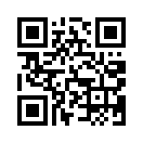 QR CODE 298