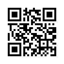 QR CODE 31