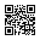 QR CODE 331